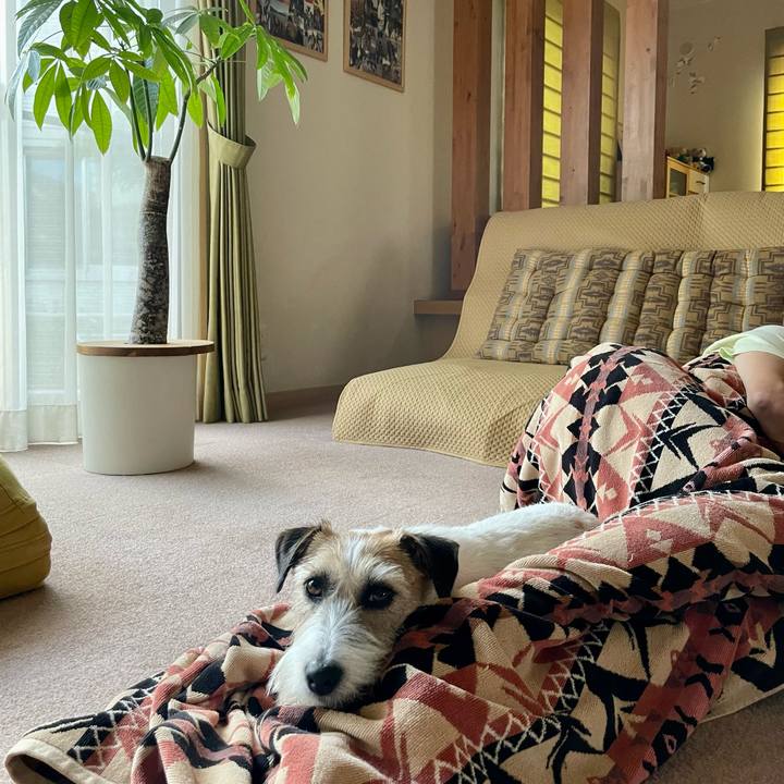 83f55740 c3e4 4851 b256 60dbe5ce0f99 1656264439102