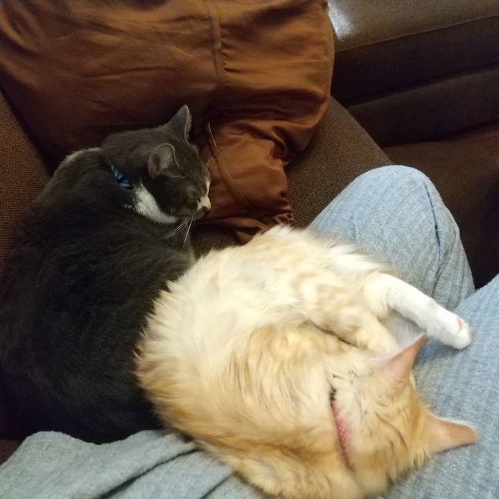 83f55d07 990a 44e6 b00e 2d9435161452 1607743611084