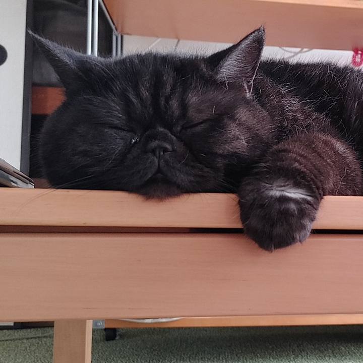 83f58bd7 ffe9 41ec b80f c731f34b68b7 1636179572421