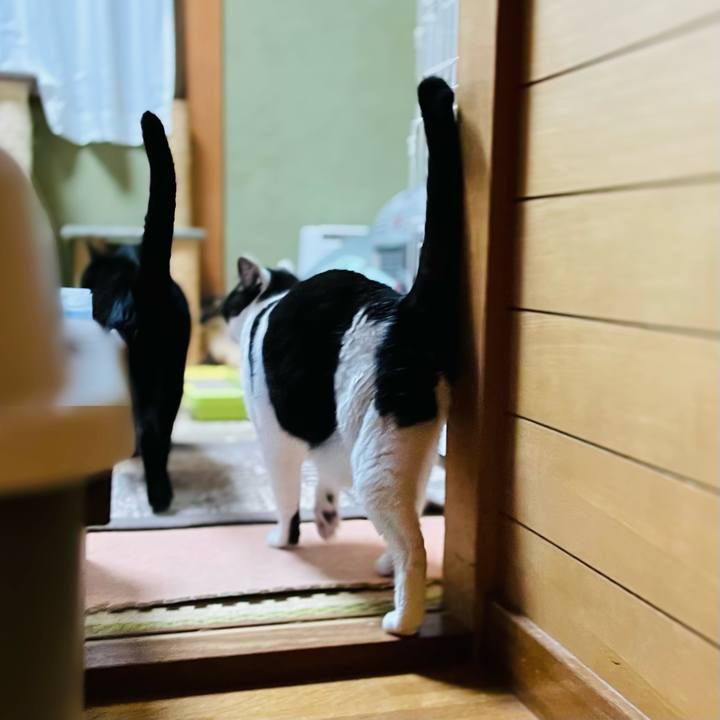 83f592b2 58cf 4bb3 be34 c2ef82d37638 1647826560156