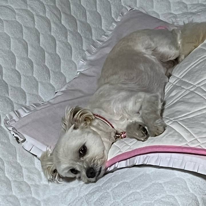 83f5a6dc 350d 4f03 9a9c eb8e380340c8 1656072077455