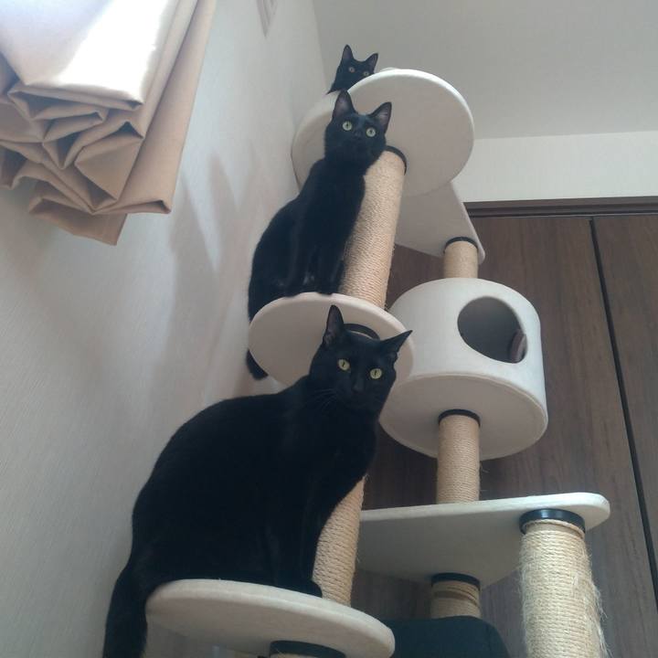 83f5ab24 d9ab 4445 a23b 7cad6310e170 1553908789148