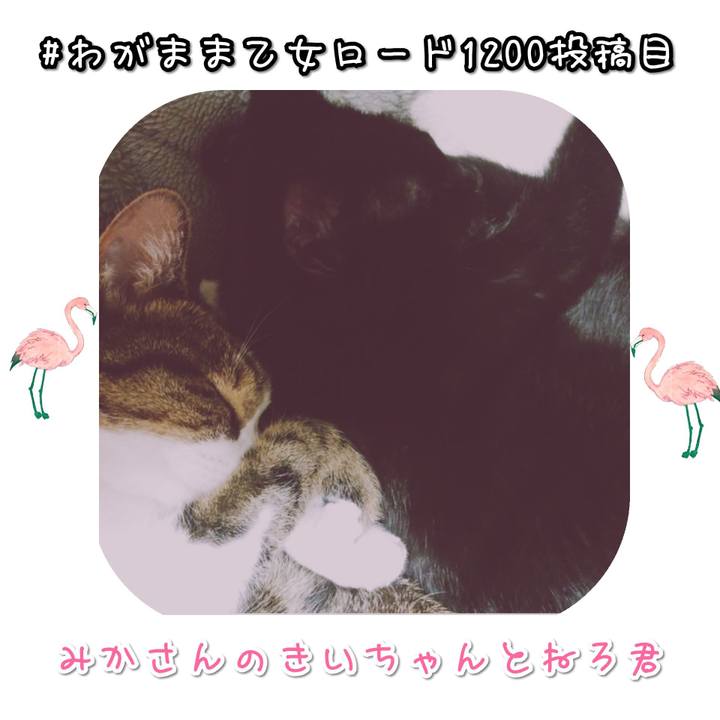 83f5b333 01d9 42d3 9970 d8c0c50f27bb 1572785579291