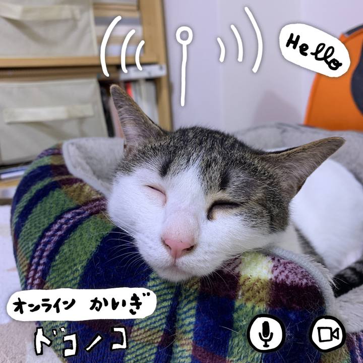 83f5cb98 138d 400b b1c5 6c4af5f62cfb 1591456590430