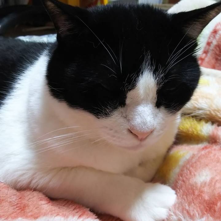 83f5d031 64a2 4804 b695 e3818eb2d817 1563313905187