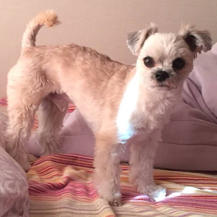 83f5d060 8720 4cd2 930f 8b2e8c738002 1551528431738