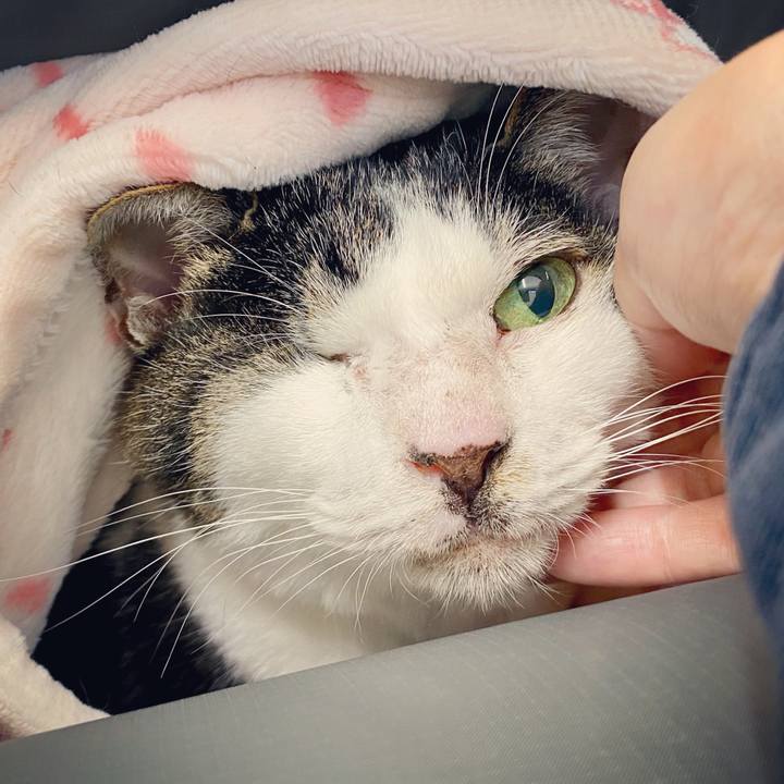 83f5fa2c 1509 41d4 b60a c79a7bf5a073 1614053348635