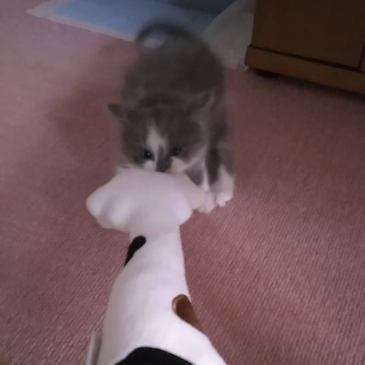 83f612b1 9a50 4d84 8d7e d270a53b3c6e 1559957841176