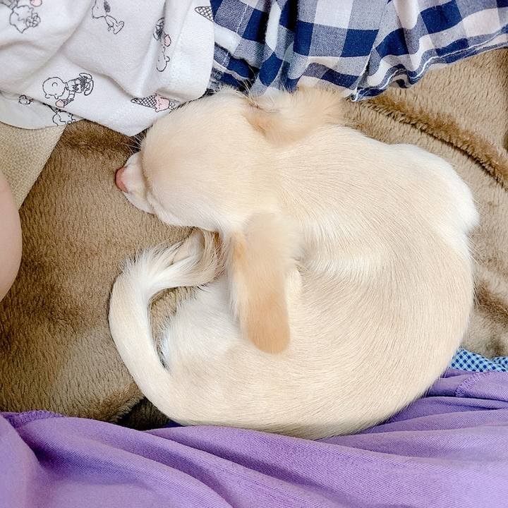 83f63f07 fdc9 4b51 8212 388caecce53d 1593834090105