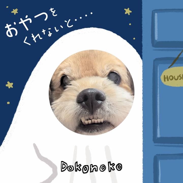 83f67478 f707 4f9f a892 4e35e53febf4 1729079771275