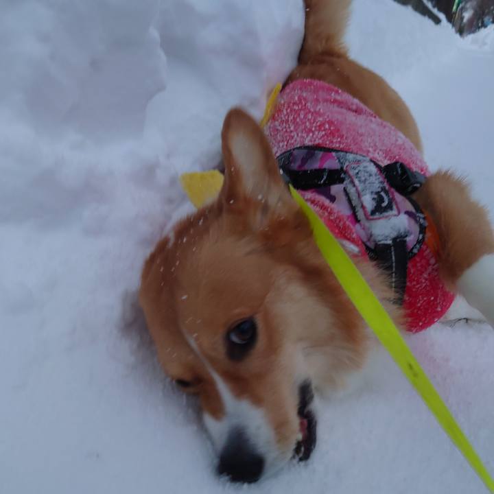 83f6b77b 0137 41c0 aef6 c9b0e2ebbf4a 1769730390566