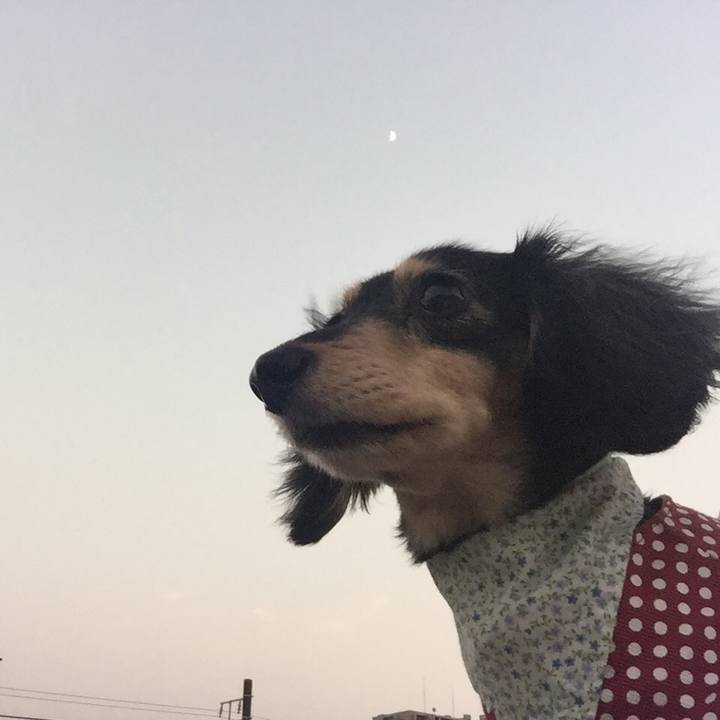 83f6c909 43a1 4164 92d5 f04b8d7d1896 1531995368719