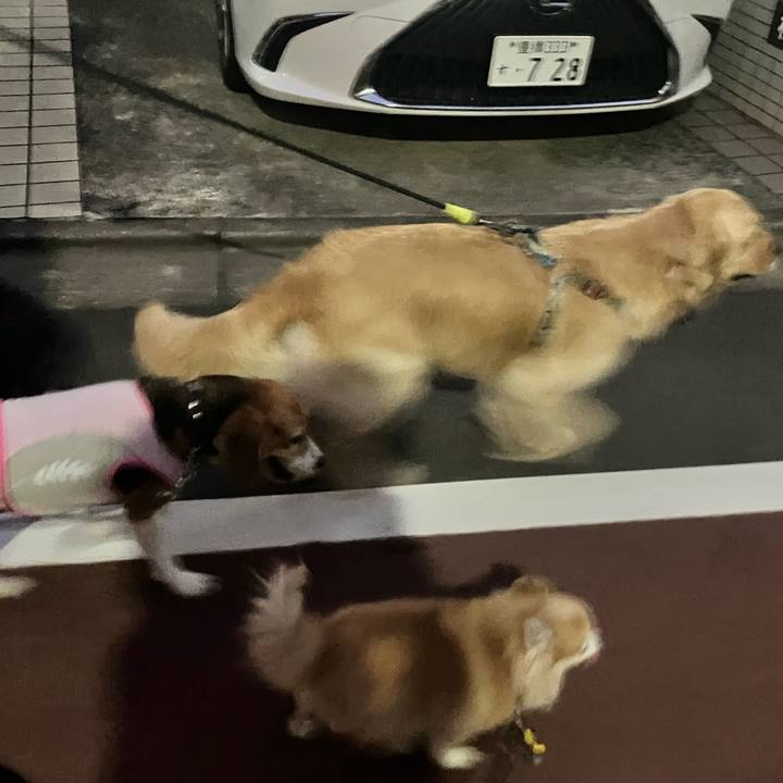 83f72760 ddaa 4abe 9c8b a5ed1fd84ead 1751931929468