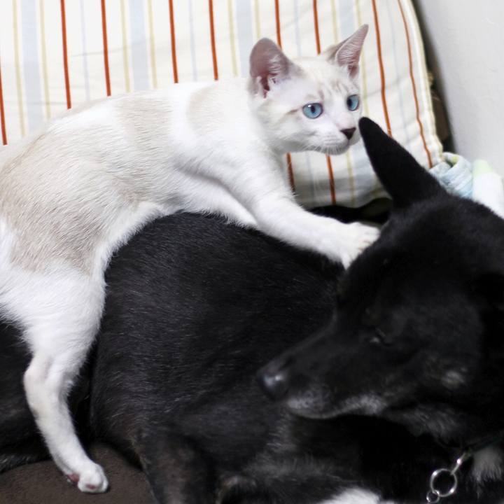 83f7396c 0908 486c a0c8 ade58301e193 1602590394128