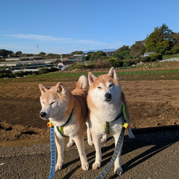 83f74866 dd0a 41bc afe6 991bc73201d6 1762229263716