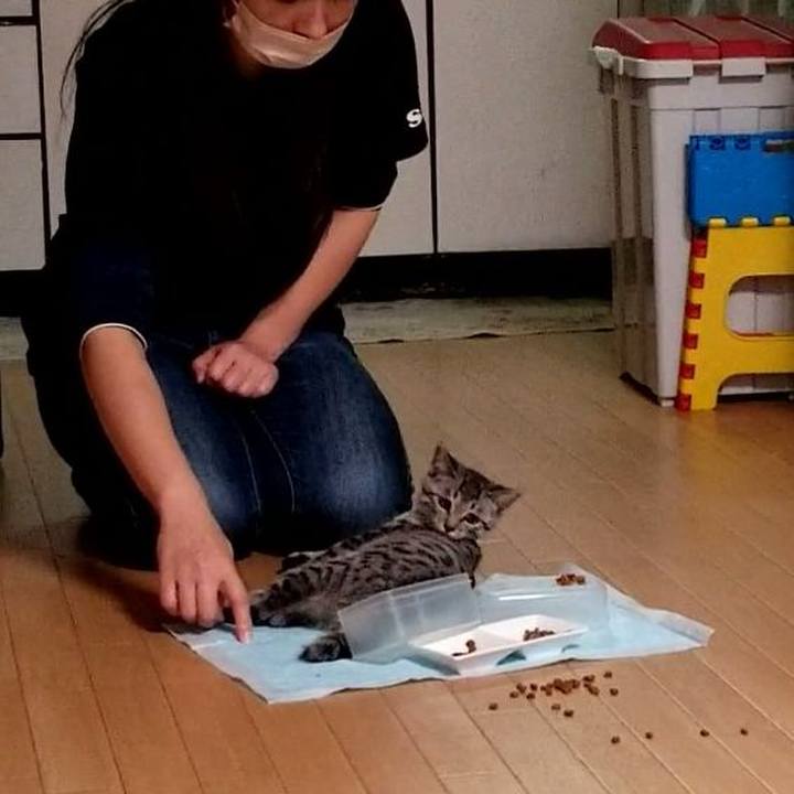 83f77a22 1b88 429e b654 4ae79c1751ec 1666094646556