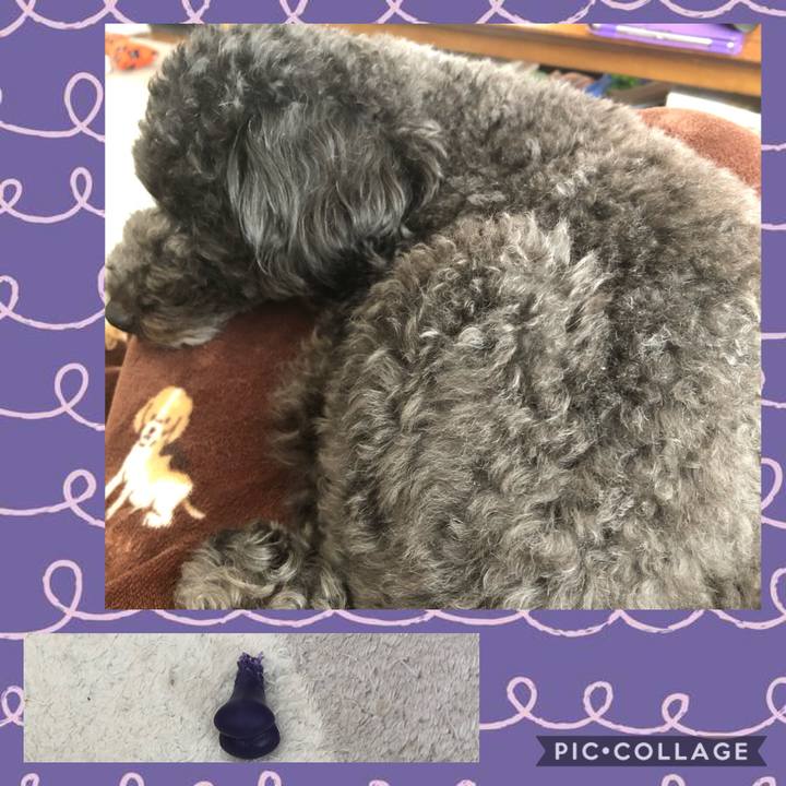 83f78b34 894f 46cc 85ca 789d246acb7a 1610426341875