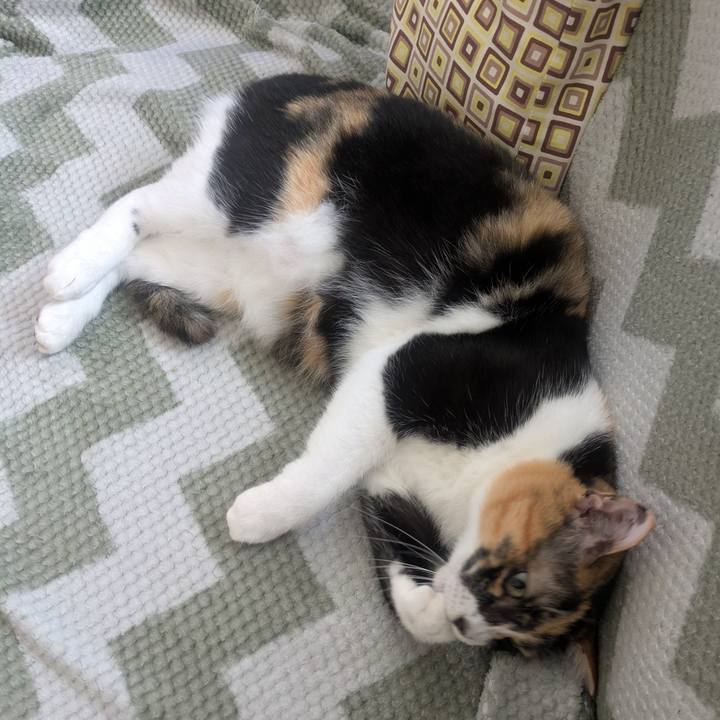 83f79669 33d8 40ac 92e1 845254df76f2 1754984658040