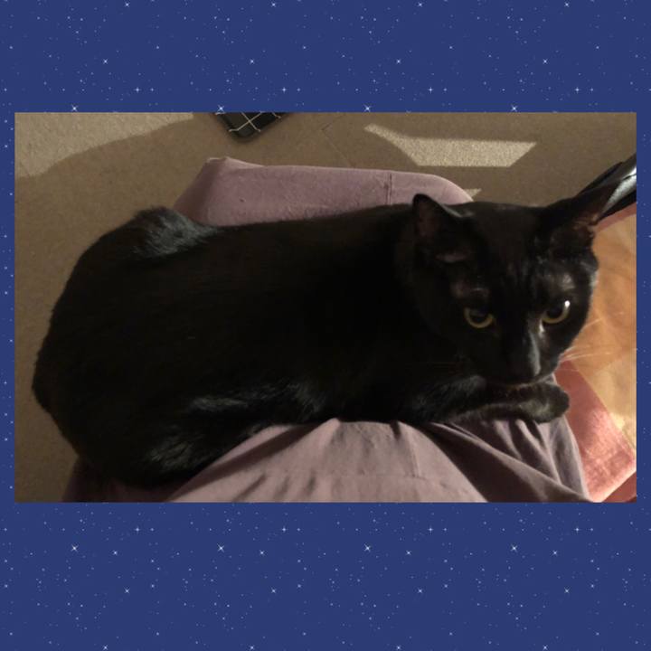 83f7b30b 8909 4688 a865 506e1b4e73e7 1680522356410