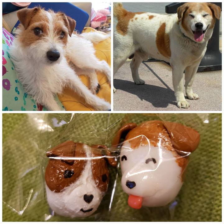 83f80432 d246 421b 8358 411efd35c6f3 1560001110249