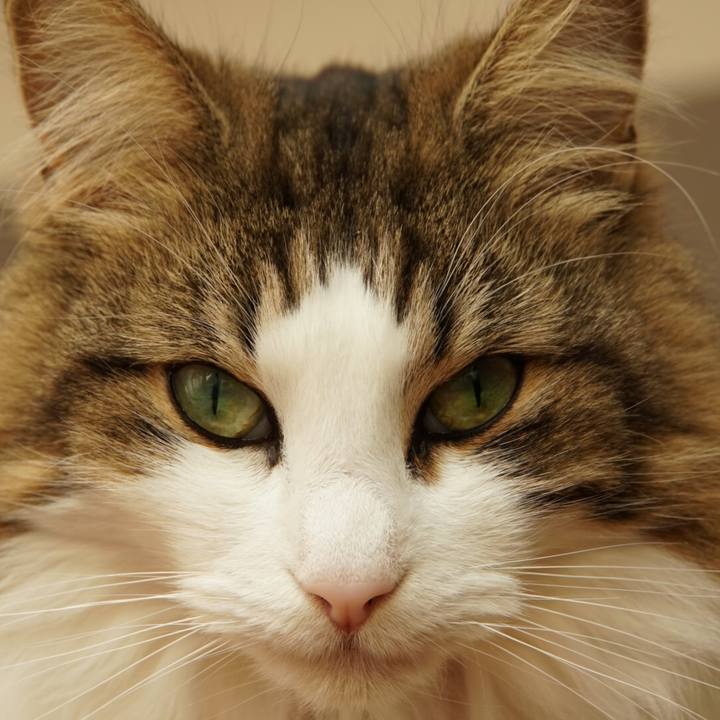 83f81a92 9436 4acf 9a19 cfe591fac071 1544186578353