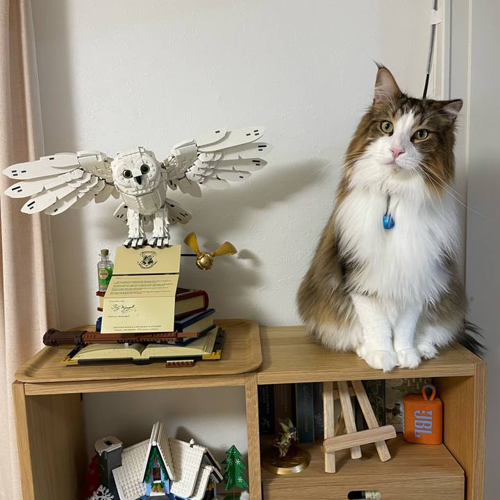 83f81bd0 f012 42d5 b032 625ea3c72ccd 1704657918221