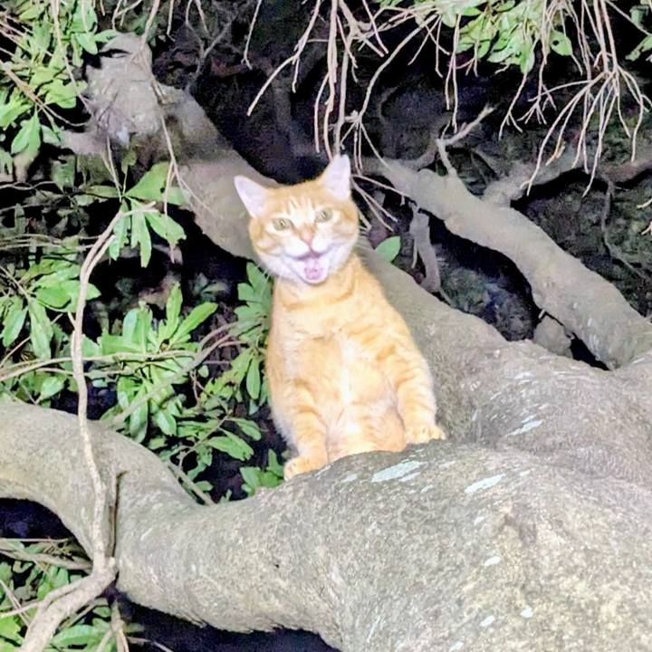 83f864d8 a7fc 4534 ab9b 7262948a3339 1758455506038