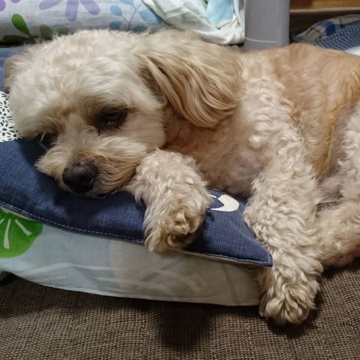 83f86b1b 0af4 4eba 8c56 09b1f0e8504b 1568614956144