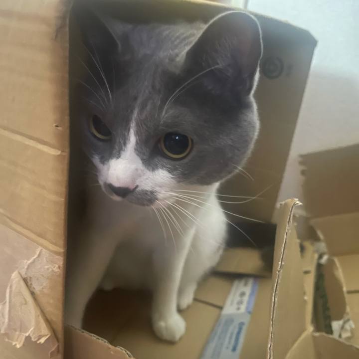 83f86f22 fc66 4975 9df3 d7d5378bbe5c 1624057573892