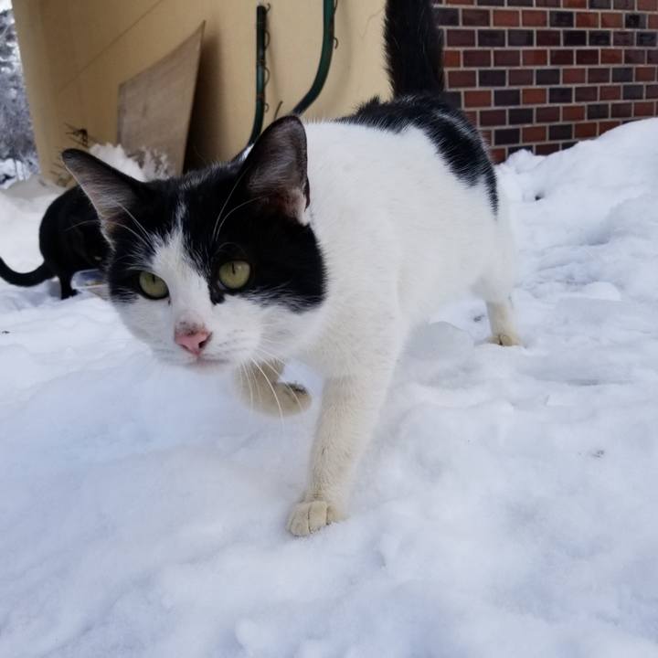 83f8a711 843f 4fa7 99de 841efd9f928f 1610618877865