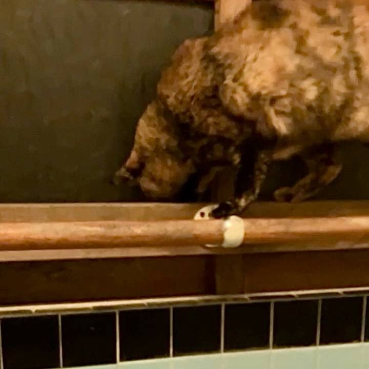 83f8b0b3 8909 4b65 998c e5b0de071630 1736277309494