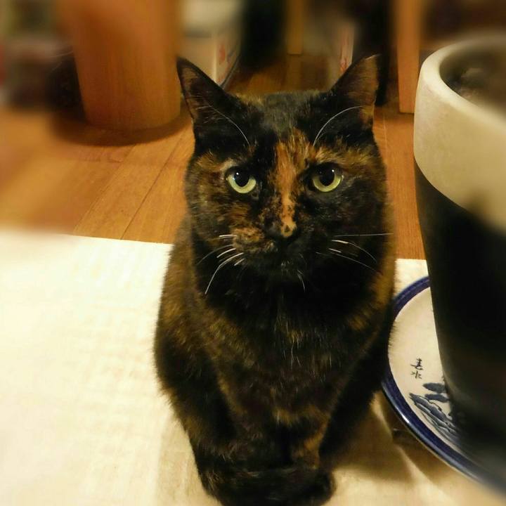 83f8e773 a315 4cc0 b77f e2eb9f5af27c 1552614924114