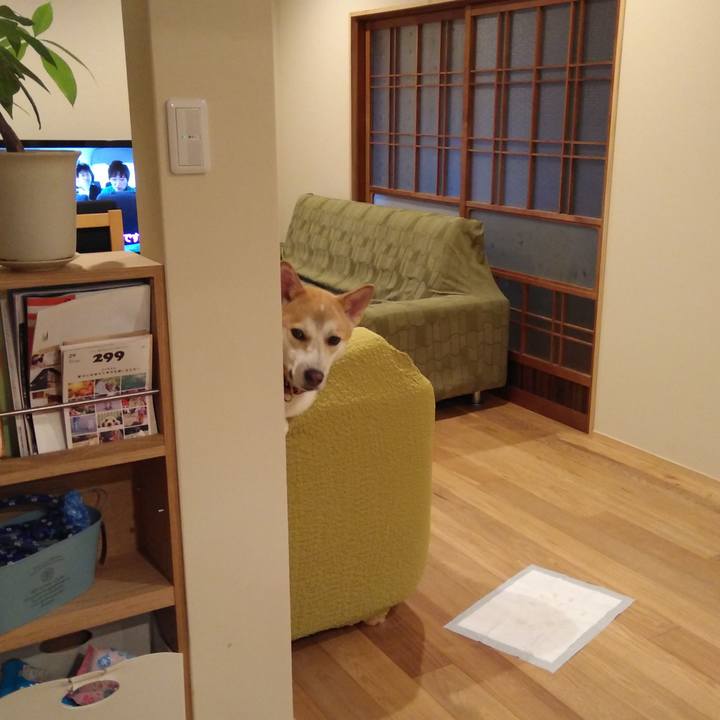 83f8e77a e0a7 410e a284 9d73545a82f1 1508469639547