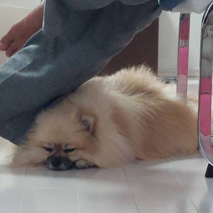 83f937e8 e9f2 4597 b7e0 93ec62d51cbe 1667971743881