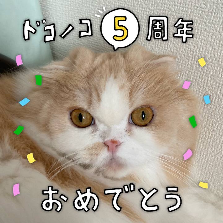 83f9566d d4a2 4f25 adf5 7ca0078affd8 1622955885579