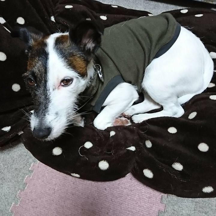 83f97623 25b8 475d ba6b 6e7a6153b6fc 1512824548403