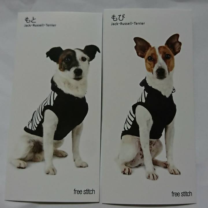 83f98775 1ccc 4ee4 a6df f314cd095398 1532269090891