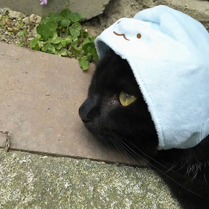 83f9be66 c068 4fe9 8aa4 b3619d0dde5c 1557028402963