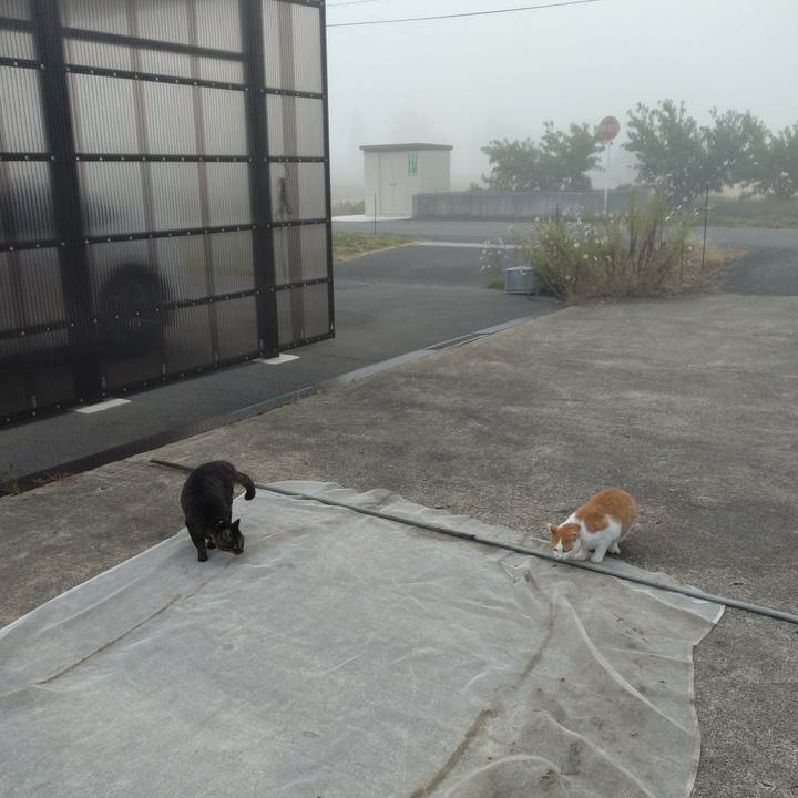 83f9c6d2 b342 4b57 8b71 3b9c8da482e2 1759962910314