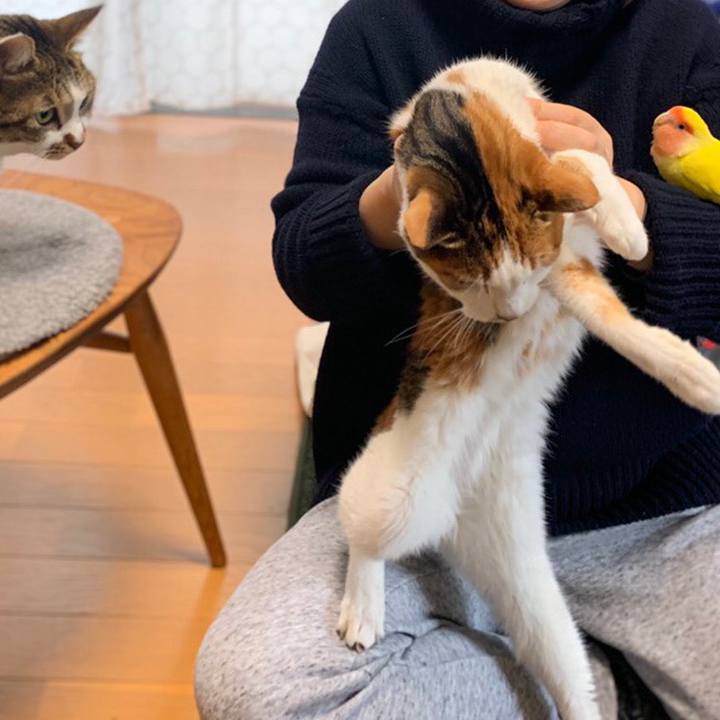 83f9e756 0bb8 428c 9253 5ff49c54eeb6 1548069760175