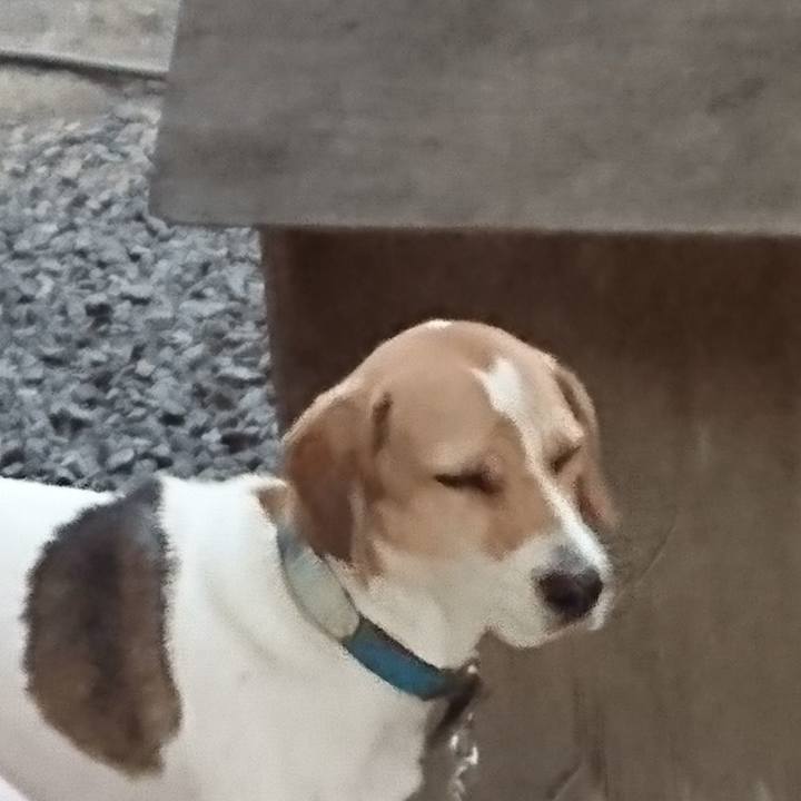 83fa0787 7340 4550 8a23 f1739b1ad83d 1575102819447