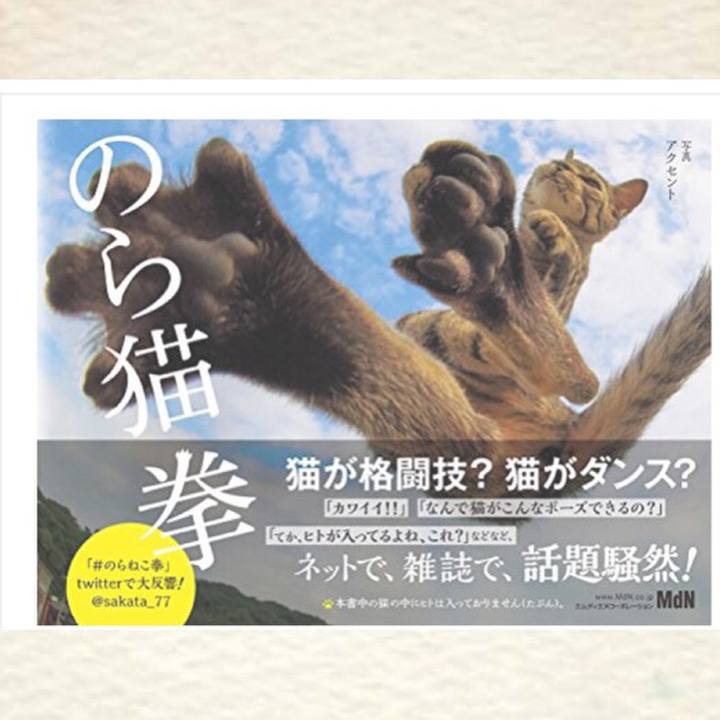 83fa1cae 76d0 4583 ab51 cdad214cf488 1529472925460