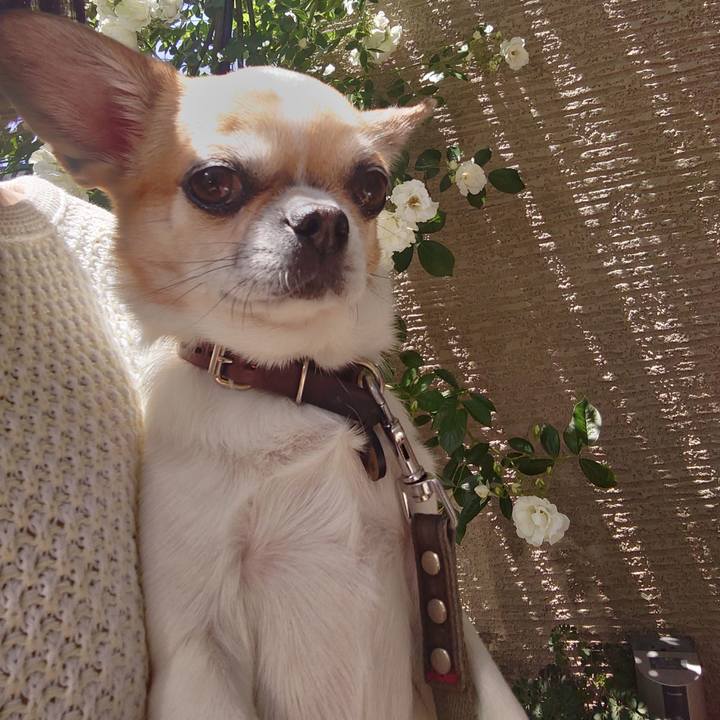 83fa64bb a531 4968 9d54 ae86843a10ec 1715417405488