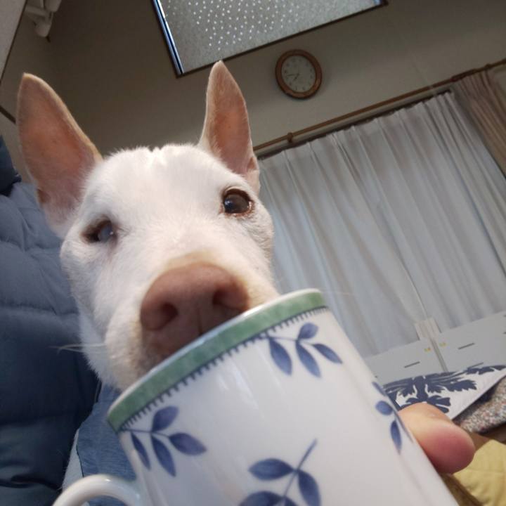 83fa7eea b8b7 43bc 8ad6 113221887583 1582758876807