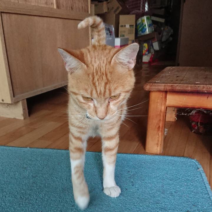 83faaab0 c050 42dc 9b11 489fee58229b 1564045840795