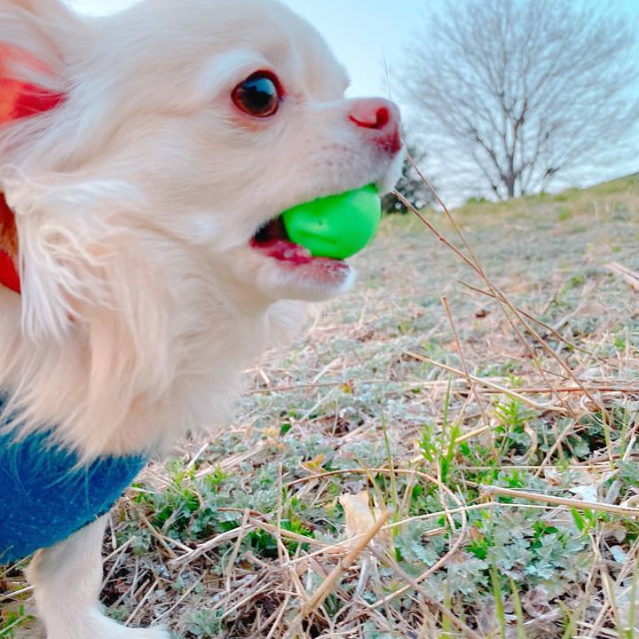 83faae69 71cd 4fe6 80b1 e6a9cf927c43 1647513939087