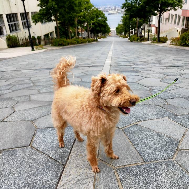 83fab091 8341 43ec a368 70291e6e5ef7 1592566371580