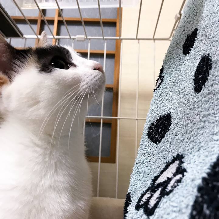 83fae632 214a 475a 9c21 a32a8ed56365 1510239171100