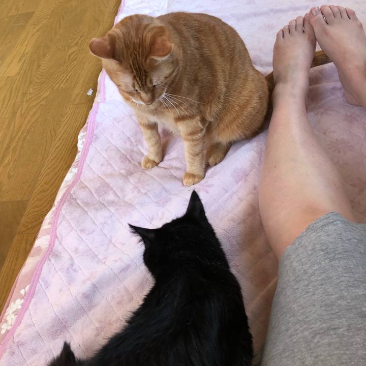 83fafe99 18cd 4680 a8c1 e1219717ae66 1562789072749