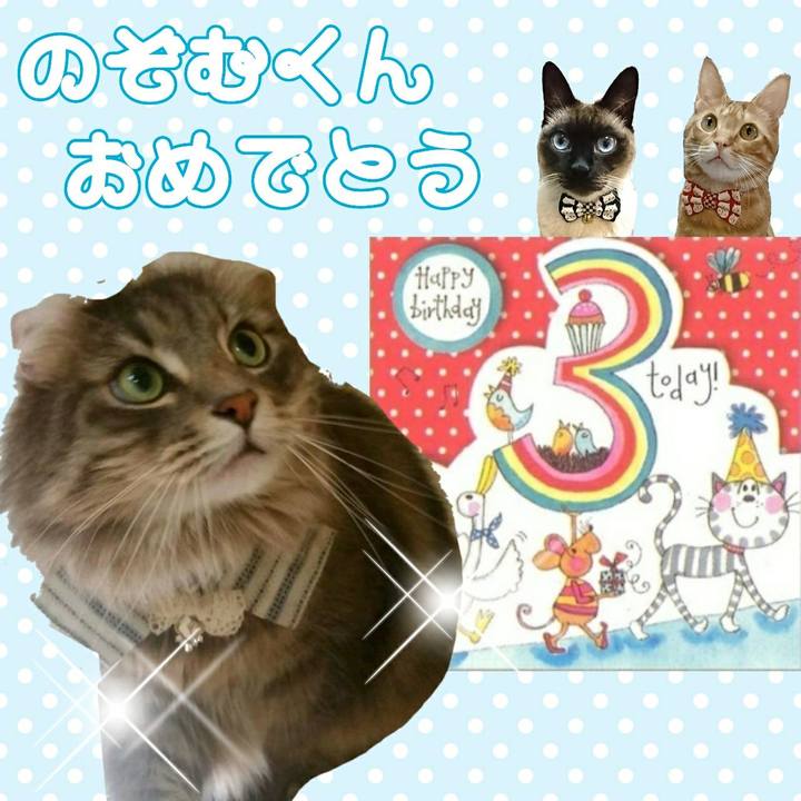 83fb026a 64f3 4c6f 9859 f5a54358210d 1530851419260